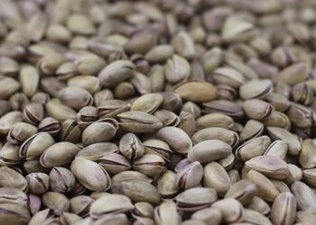 Sam Nujoma, who led Namibia after independence struggle, dies at 95 – The Washington Post