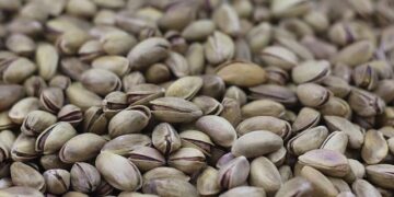 Sam Nujoma, who led Namibia after independence struggle, dies at 95 – The Washington Post