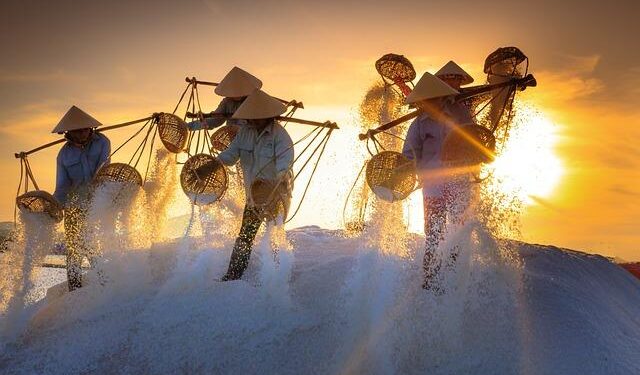 Salt of Palmar hotel review: a colourful adults-only getaway in Mauritius – The Times