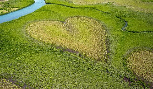 France’s Reset With New Caledonia Could Hit Some Roadblocks – World Politics Review