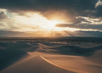 Former death row inmate on trial for sex trafficking charges in Hawaii – Courthouse News Service