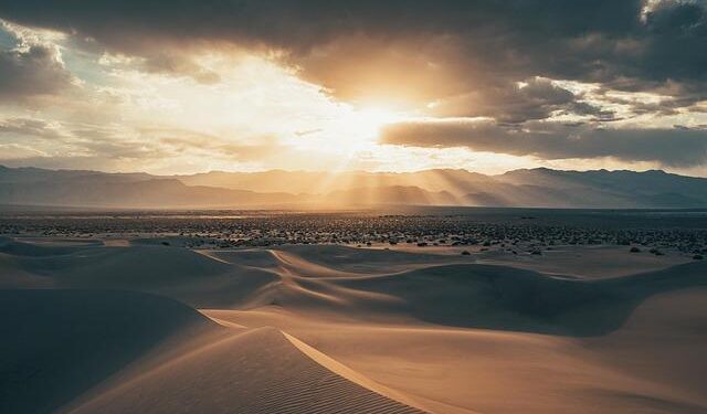 Former death row inmate on trial for sex trafficking charges in Hawaii – Courthouse News Service