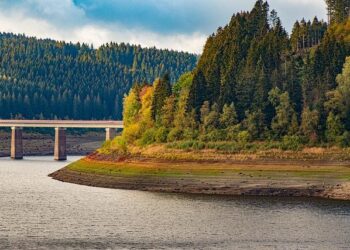 Tyra Banks left LA life behind and moved family to Australia – Fox News