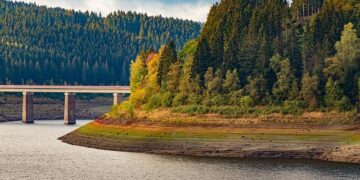 Tyra Banks left LA life behind and moved family to Australia – Fox News