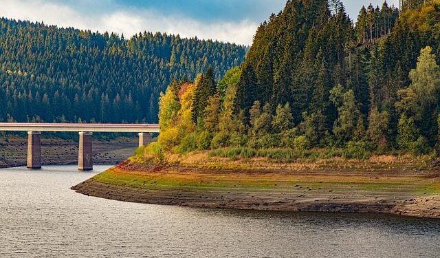 Tyra Banks left LA life behind and moved family to Australia – Fox News