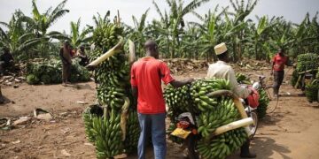 Xi makes a case for free trade, presenting China as a source of ‘stability and certainty’ – ABC News