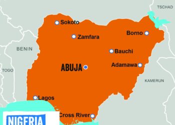 Nigeria, Sweden partner to drive green, digital innovation – Punch Newspapers