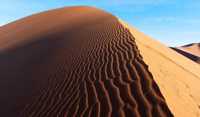 Namibia in Numbers: Namibia – Self-Reported Living Conditions, by Occupation – 2024 – The Namibian –