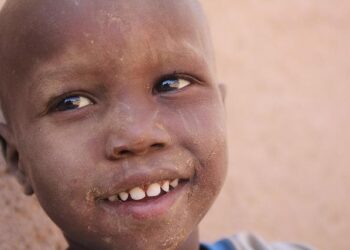 Central African Republic’s Trump-style memecoin crashes after launch – Financial Times