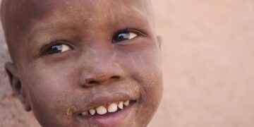 Central African Republic’s Trump-style memecoin crashes after launch – Financial Times