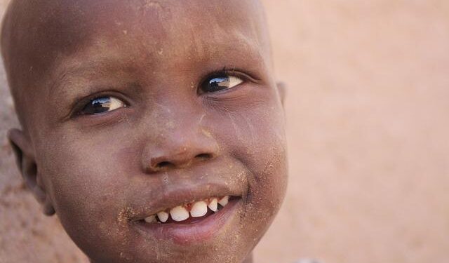 Central African Republic’s Trump-style memecoin crashes after launch – Financial Times