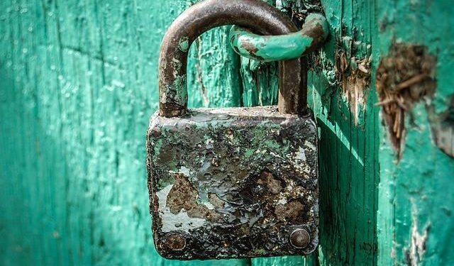 Empowering women by strengthening digital security in the Solomon Islands – UN Women Asia and the Pacific