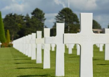 Tribute to Pink Floyd – Palau de la Música Catalana