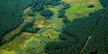 Poland throws support at bid to make Togo’s descendants the state dog – Lewiston Sun Journal