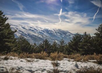 Improving quality of care to save lives in Sierra Leone – WHO | Regional Office for Africa