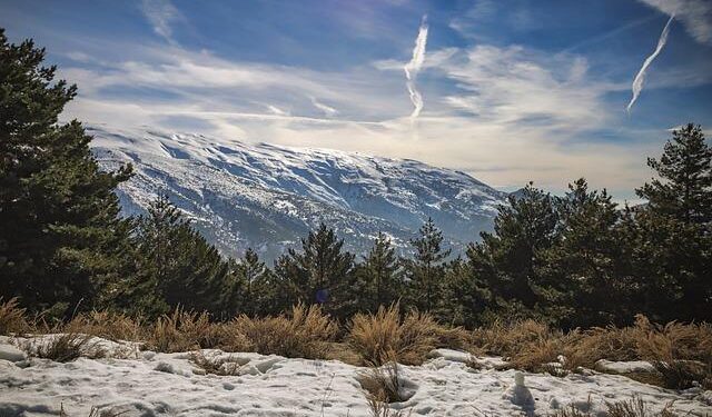 Improving quality of care to save lives in Sierra Leone – WHO | Regional Office for Africa