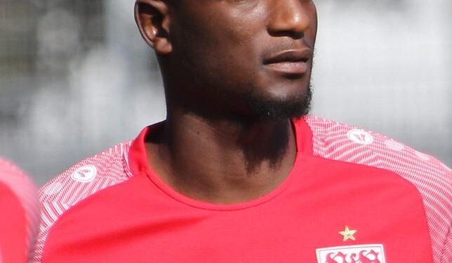 Serhou Guirassy Shatters Records as Africa’s New Champions League Star – Africa.com