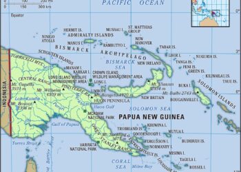 Papua New Guinea tuna catches hit record high in 2024 – Undercurrent News