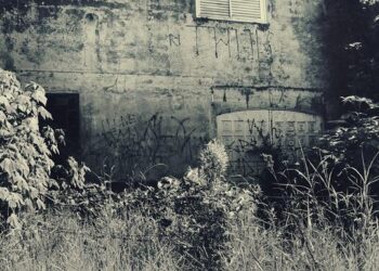 Niue resident fighting to be allowed to enter NZ with his family – 1News