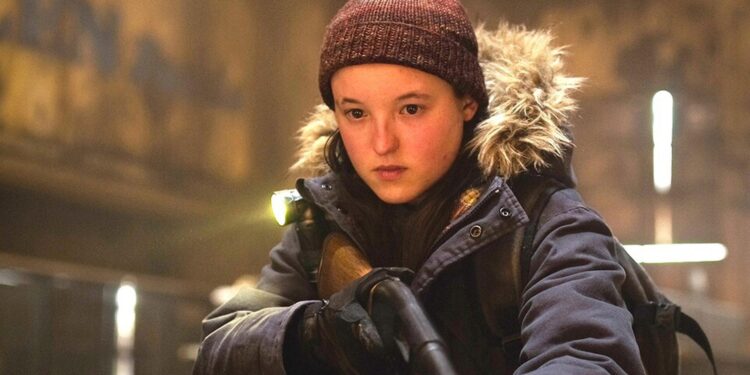 US cancels programmes at Portuguese universities – The Portugal News