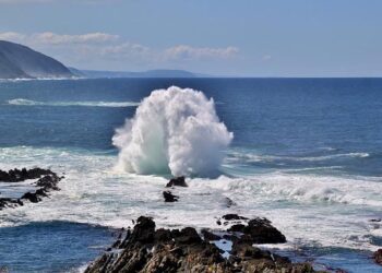 Africa Cup of Nations | History, Winners, Trophy, & Facts – Britannica