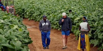 Zimbabwe farmers’ group rejects compensation deal for past land seizures – the-messenger.com