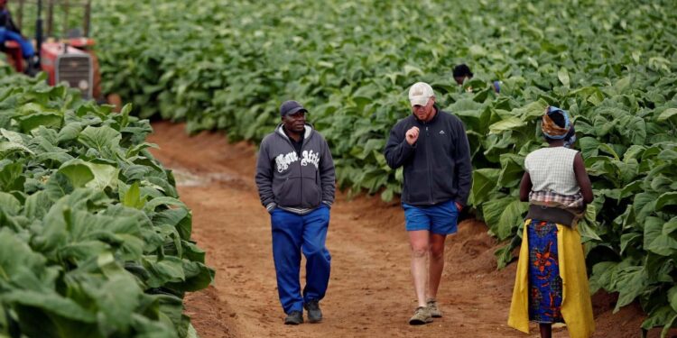 Zimbabwe farmers’ group rejects compensation deal for past land seizures – the-messenger.com