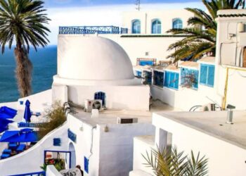 Tunisia withdraws from African Human Rights Court – The New Arab