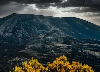 The Jones Reunion – – Metter Advertiser