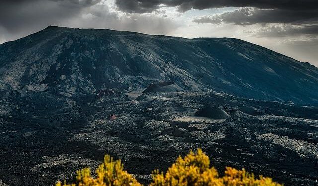 The Jones Reunion – – Metter Advertiser