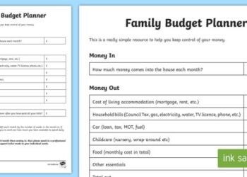 Tinubu slashes family planning budget by 97% amid decline in donor funding – Premium Times Nigeria