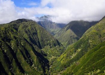 Hawaii Travel Shake-Up: Fewer Flights, Higher Prices Ahead – Beat of Hawaii