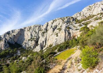 Nikola Pekovic is reportedly tied to criminal group in Montenegro – Eurohoops