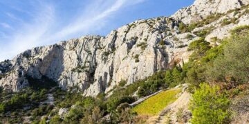 Nikola Pekovic is reportedly tied to criminal group in Montenegro – Eurohoops