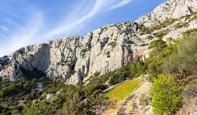 Nikola Pekovic is reportedly tied to criminal group in Montenegro – Eurohoops