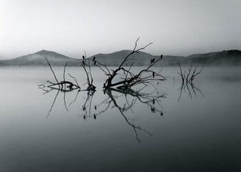 South Africa’s Godongwana Sees No Alternative to VAT Increase – Bloomberg.com