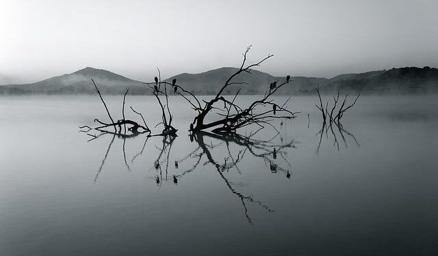 South Africa’s Godongwana Sees No Alternative to VAT Increase – Bloomberg.com