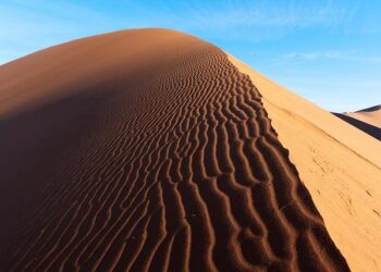 Namibia Holds Key Policy Rate at 6.75% – TradingView