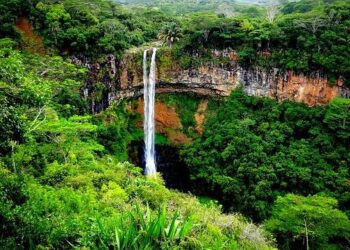 Mauritius: Ex-finance minister released on bail after corruption charges – MSN