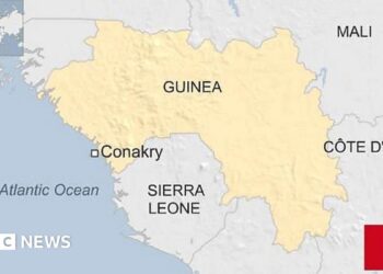 Strengthening Conservation Efforts in Guinea and Sierra Leone – BirdLife International