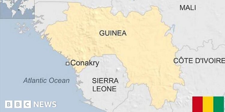 Strengthening Conservation Efforts in Guinea and Sierra Leone – BirdLife International