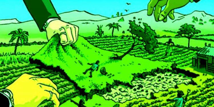 The Land Disputes Facing African Americans in Ghana – New Lines Magazine