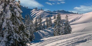 Switzerland, Iceland, Liechtenstein and Norway sign updated free trade pact with Ukraine – Al Arabiya English