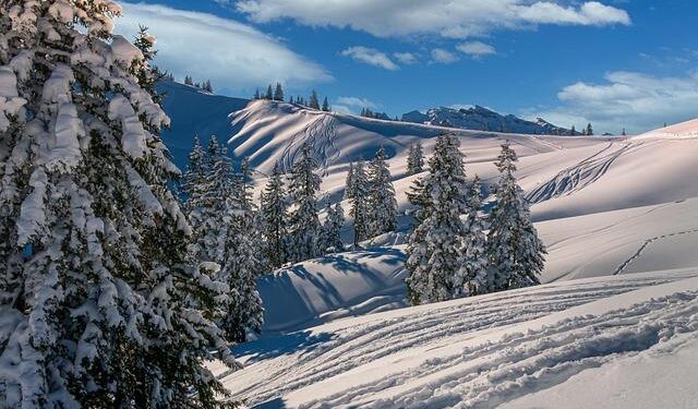 Switzerland, Iceland, Liechtenstein and Norway sign updated free trade pact with Ukraine – Al Arabiya English