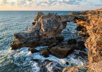 Bulgaria backpedals on nuclear reactor sale to Ukraine – The Kyiv Independent