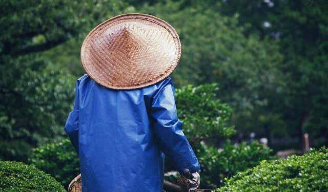 FIFPRO Asia/Oceania – FIFPro