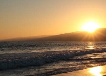 Monica Geingos: Namibia’s former first lady warns of fraudsters using her face – BBC