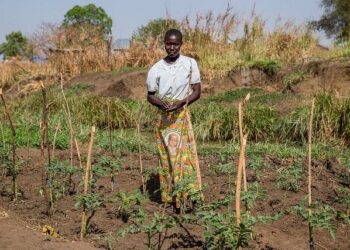 Opportunity International works to end farmer poverty in Malawi with Azure AI – Microsoft
