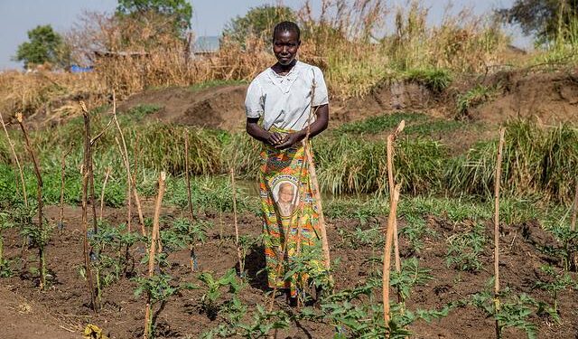 Opportunity International works to end farmer poverty in Malawi with Azure AI – Microsoft