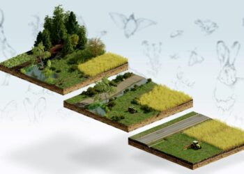 Unveiling the agricultural landscape of the Comoros – Food and Agriculture Organization